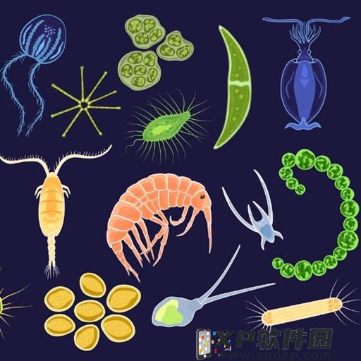 电讯报：曼联联赛排名比尼斯低面临降入欧协联，正和欧足联谈判