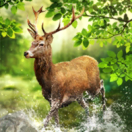 《蔚蓝航线》实在的玩梗图，23岁老阿姨在萝莉混战中被无情秒杀！