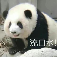 《奇观暖暖》【新套装】天然礼赞 萌发信使